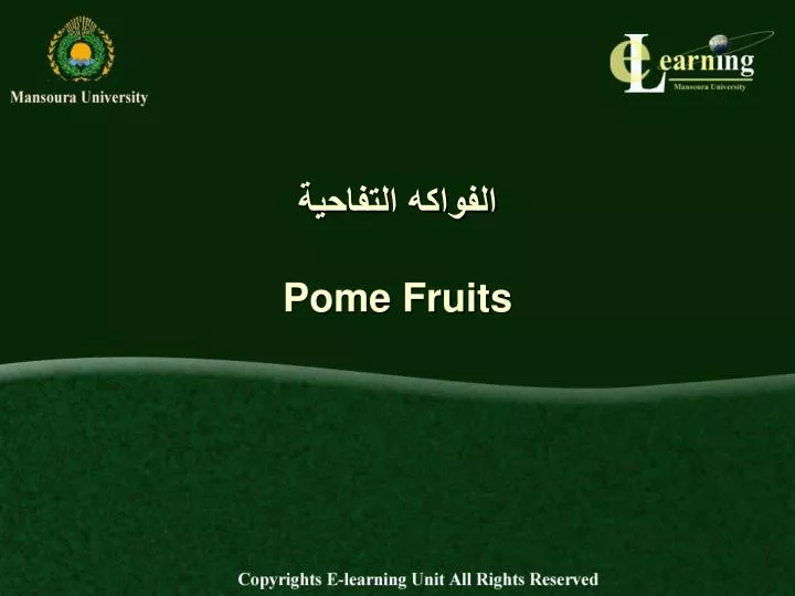 pome fruits
