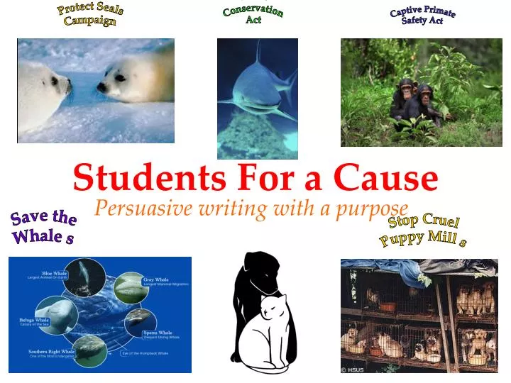 students for a cause