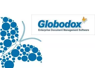 WHAT IS GLOBODOX?