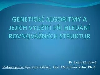 genetick algoritmy a jejich vyu it p i hled n rovnov n ch struktur