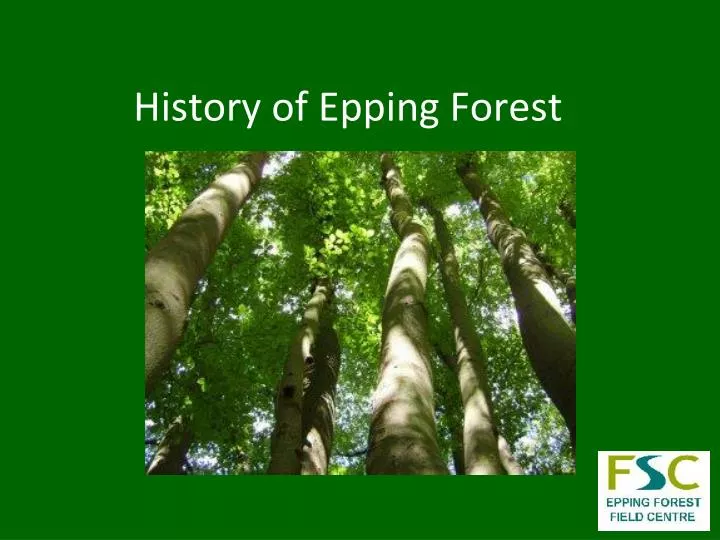 history of epping forest