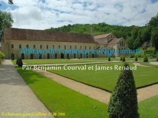 abbaye de fontenay et aigue morte
