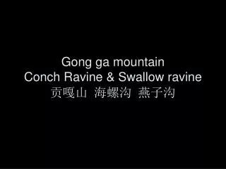 gong ga mountain conch ravine swallow ravine