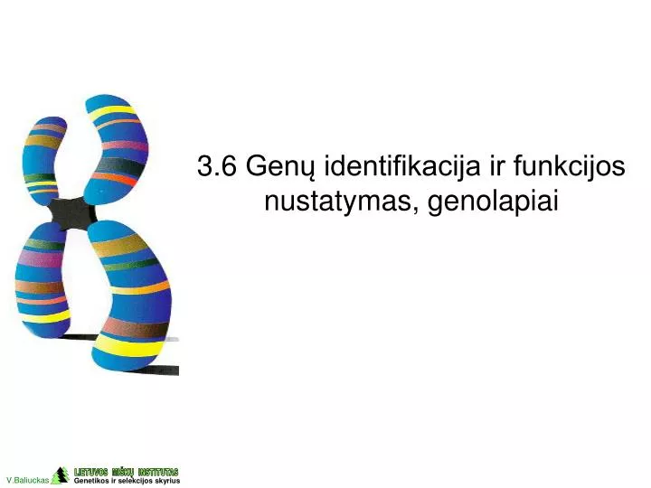 3 6 gen identifikacija ir funkcijos nustatymas genolapiai