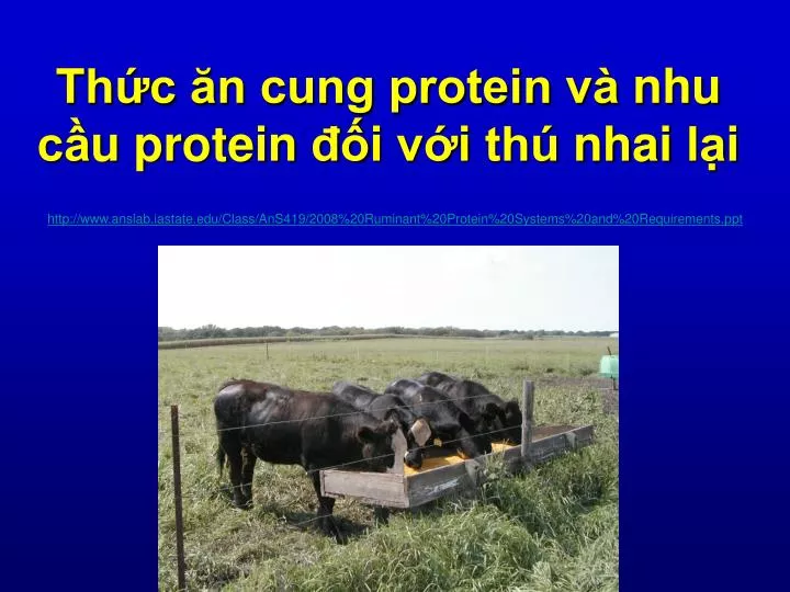 th c n cung protein va nhu c u protein i v i thu nhai la i