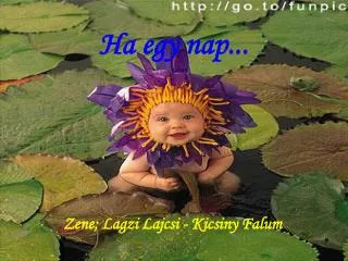 ha egy nap
