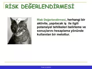 r sk de erlend rmes