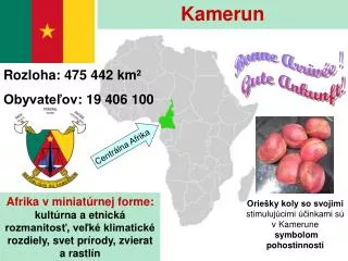 kamerun