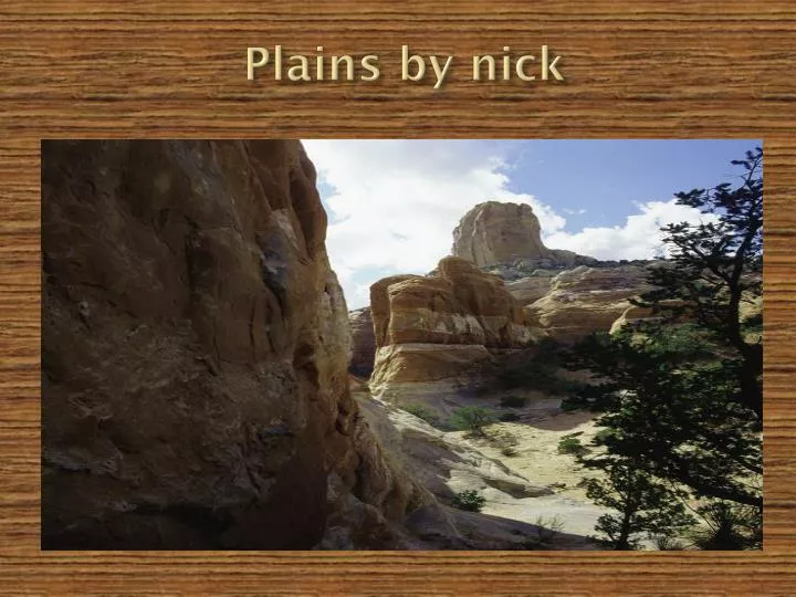 plains by nick