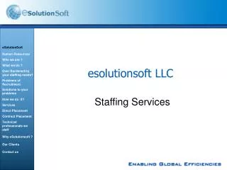 esolutionsoft LLC