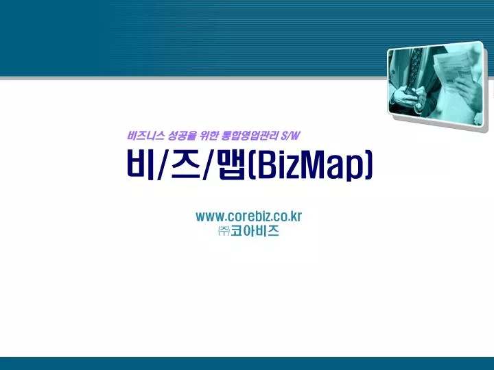 bizmap