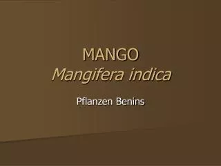 mango mangifera indica
