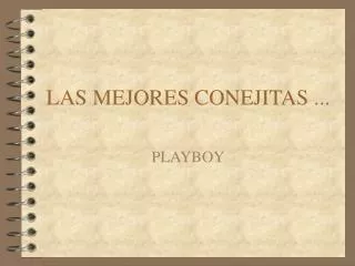 las mejores conejitas