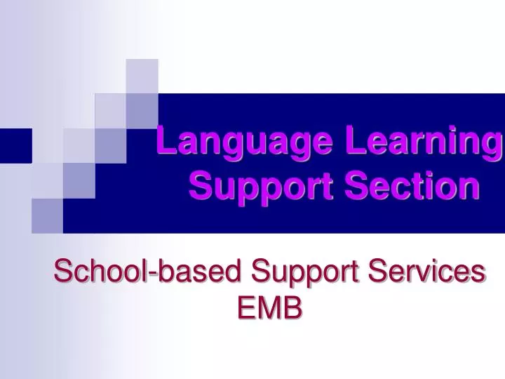 school based support services emb