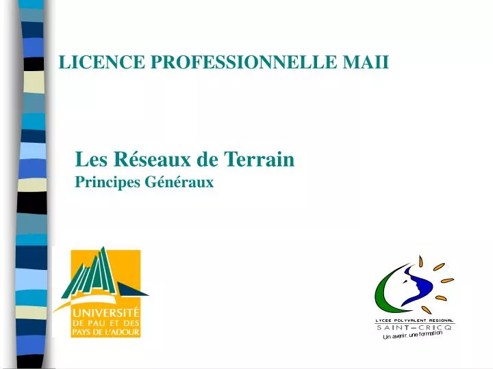 licence professionnelle maii