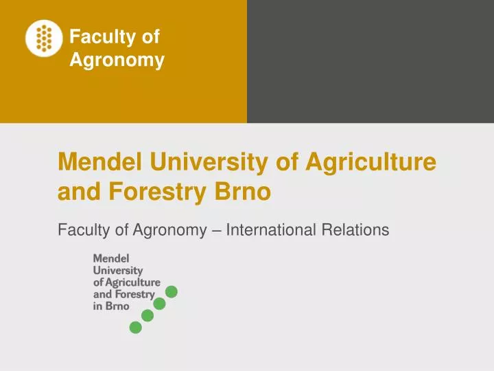 mendel university of agriculture and forestry brno