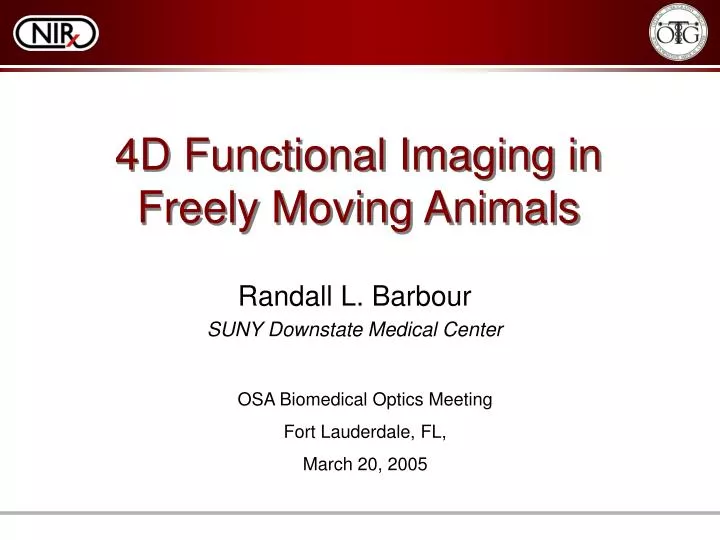 4d functional imaging in freely moving animals