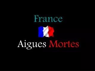 france aigues mortes