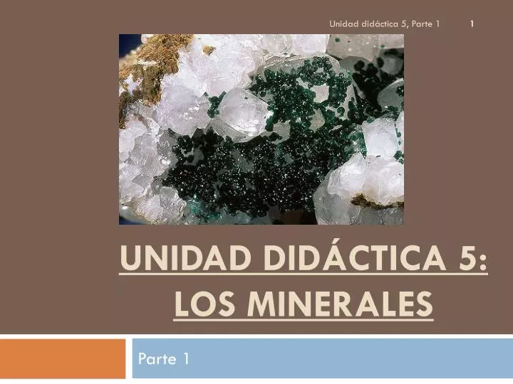 unidad did ctica 5 los minerales