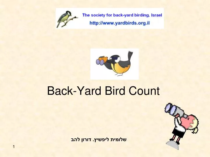 back yard bird count