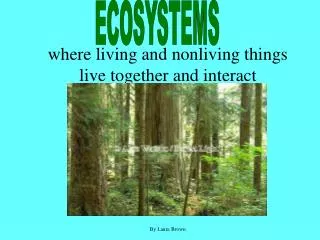 where living and nonliving things live together and interact