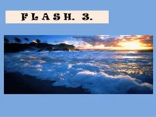 f l a s h 3