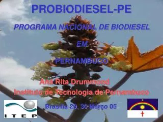 probiodiesel pe
