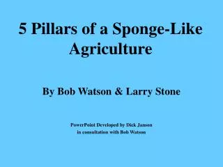 5 Pillars of a Sponge-Like Agriculture