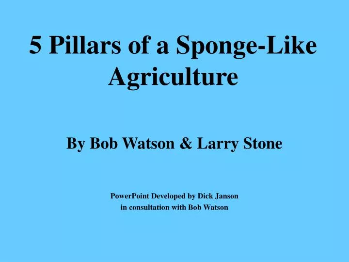 5 pillars of a sponge like agriculture