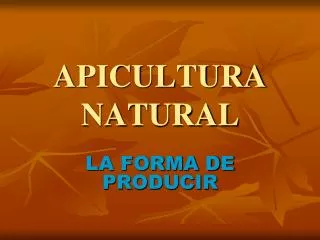 apicultura natural