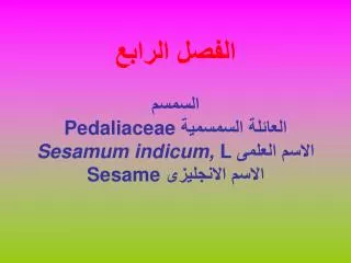 pedaliaceae sesamum indicum l sesame