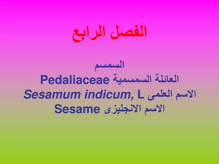 pedaliaceae sesamum indicum l sesame