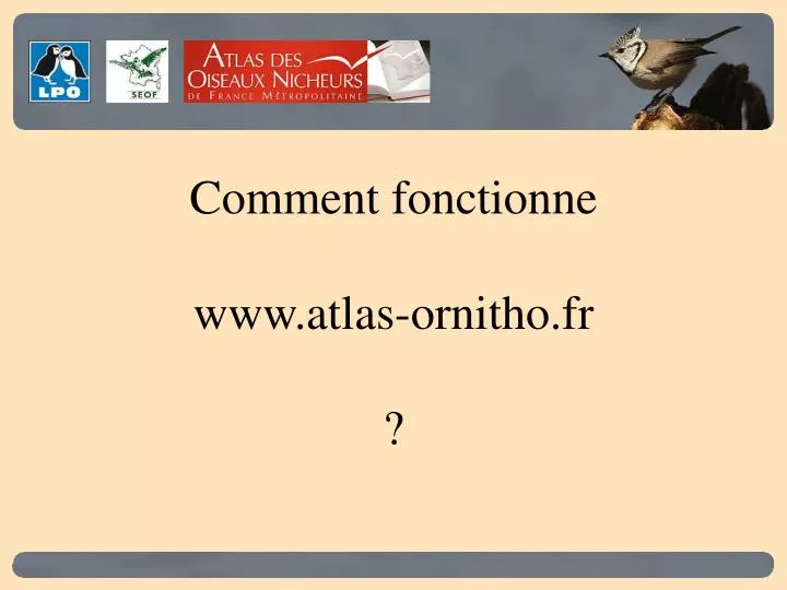 comment fonctionne www atlas ornitho fr