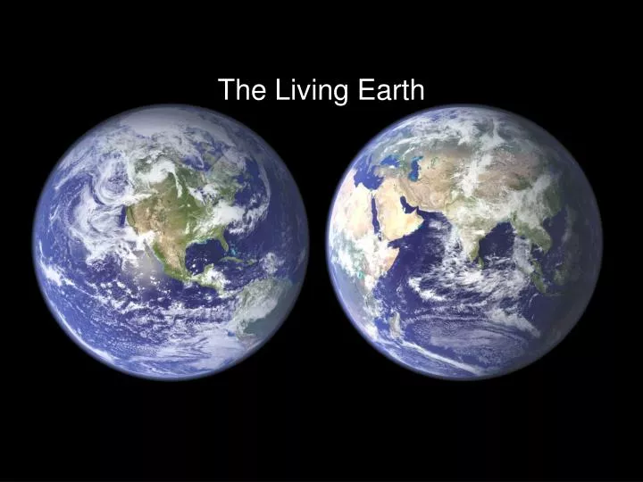 the living earth