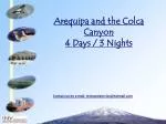 Arequipa and the Colca Canyon 4 Days / 3 Nights - slide 1