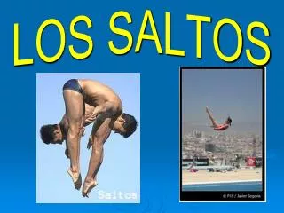 los saltos