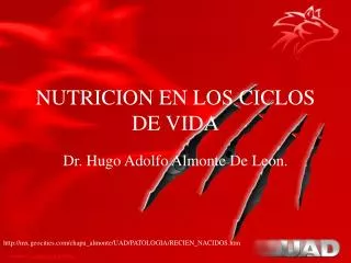 nutricion en los ciclos de vida