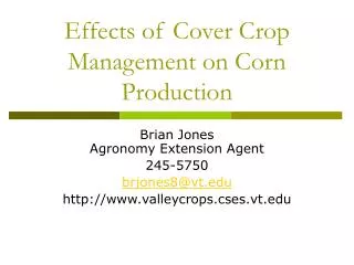 Effects of Cover Crop Management on Corn Production