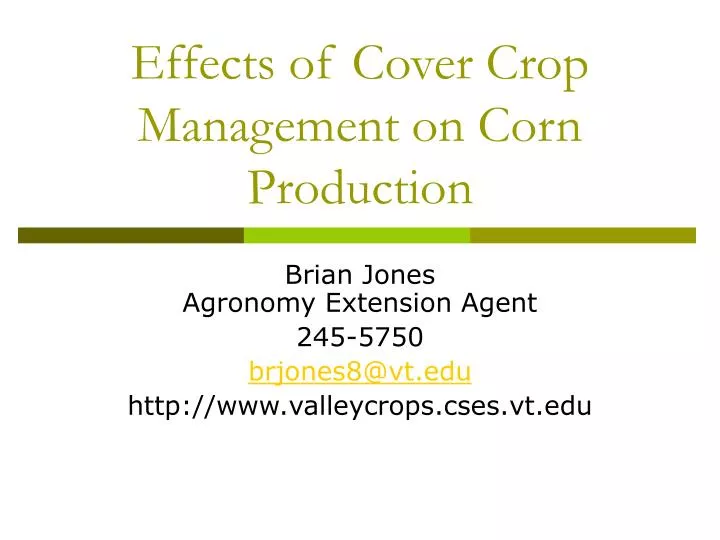 effects of cover crop management on corn production