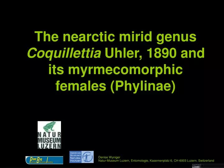 the nearctic mirid genus coquillettia uhler 1890 and its myrmecomorphic females phylinae