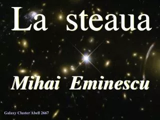 la steaua