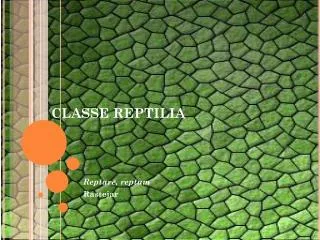 classe reptilia