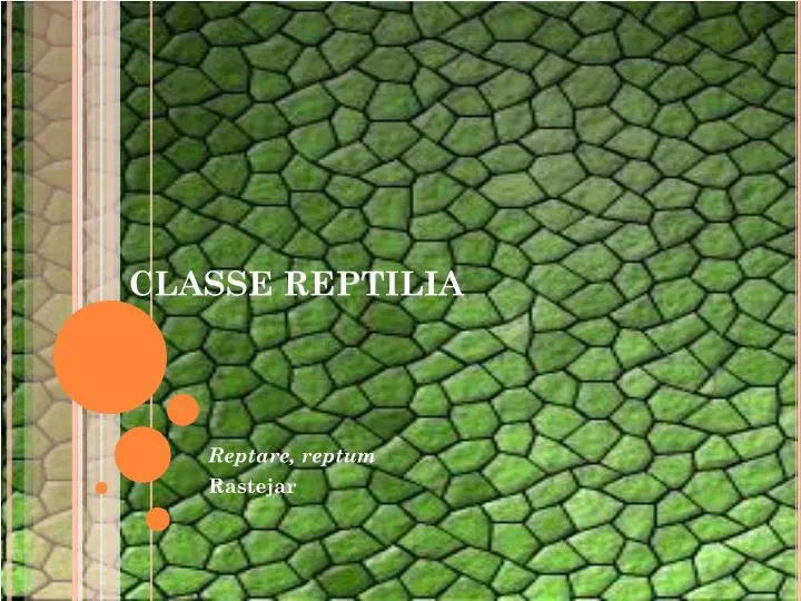 classe reptilia