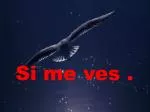Si me ves . - slide 1