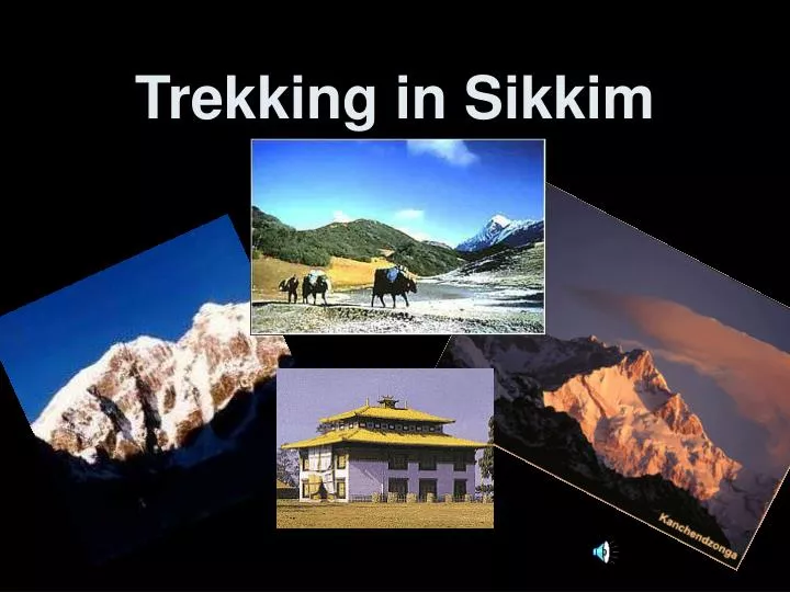 trekking in sikkim