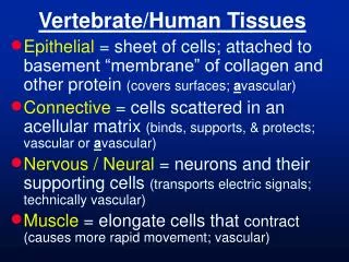 Vertebrate/Human Tissues