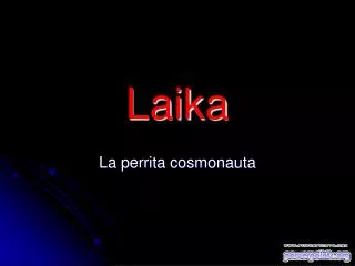 laika