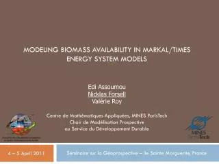 Modeling biomass availability in MARKAL/TIMES energy system models