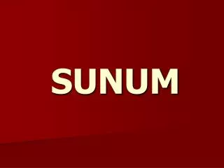 sunum