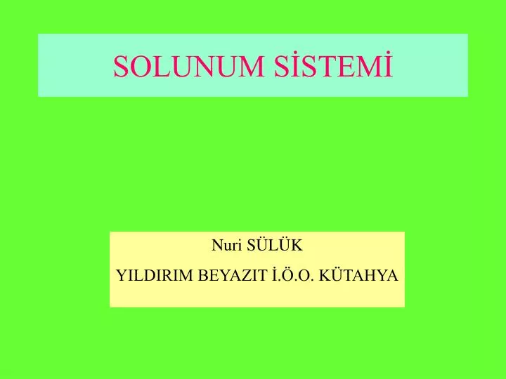 solunum s stem